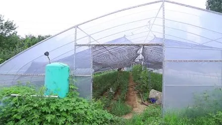 농업/가금류/야채/토마토/딸기를 위한 수경 재배 시스템을 갖춘 농업 단일 패널 아치 정원 온실