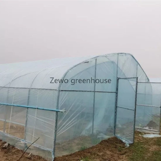 저장/꽃/조립식 주택을 위한 PVC 코팅을 갖춘 저비용 농업 미니 정원 터널 온실