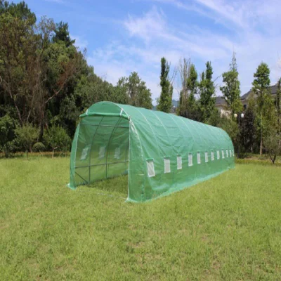 저렴한 비용으로 농업용 홈 미니 정원 온실 성장 텐트 Invernadero 판매