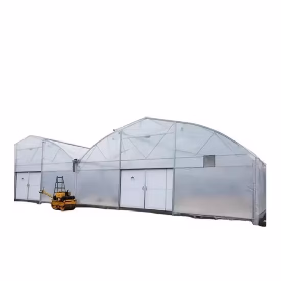 야채 재배 과일을 위한 3X6X2m 굴렁쇠 집 폴리 터널 정원 온실