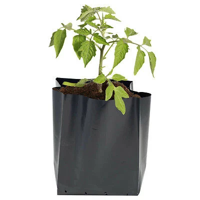 식물 가방 - 식물 컨테이너 가방 - 맞춤형 보육 가방
