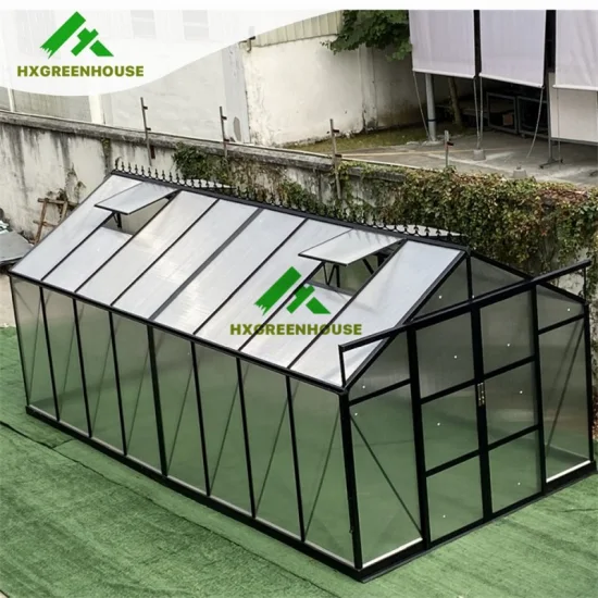 뜨거운 판매 10mm 폴리탄산염 Huixin 온실 알루미늄 프레임 하우스 다른 정원 온실