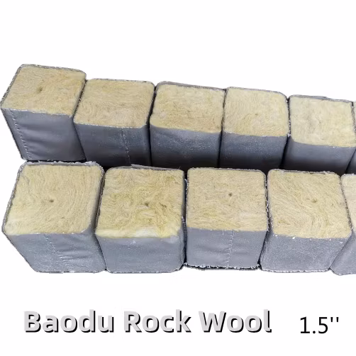 묘목을 위한 최고의 수경재배 매체 1인치 Rockwool 성장 큐브